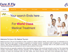 Tablet Screenshot of curenfly.com